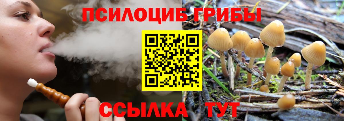 Галлюциногенные грибы Magic Shrooms  Галлюциногенные грибы MAGIC MUSHROOMS  Вход с VPN  Уварово 